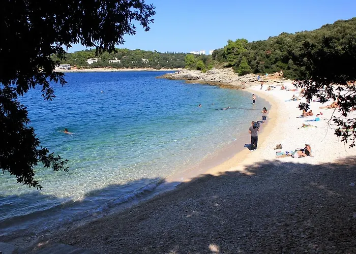 With A Parking Space - 14533 Apartamento Pula